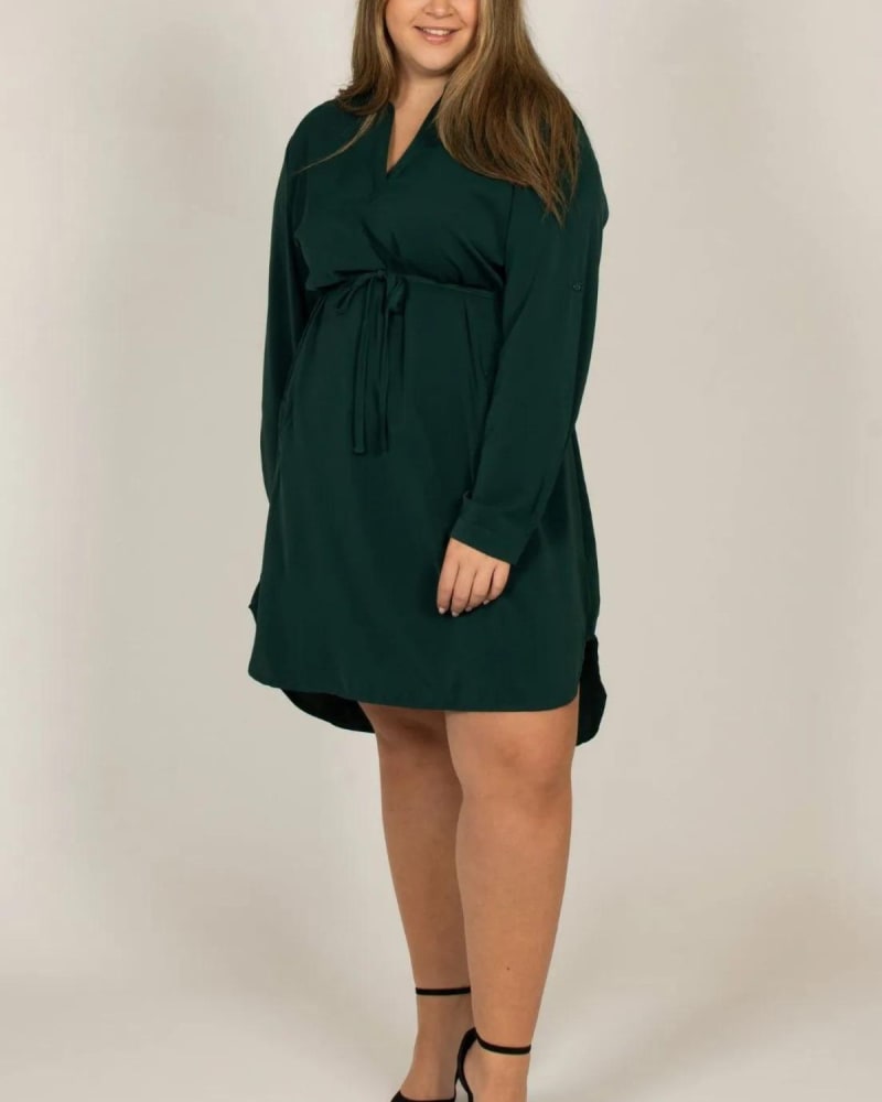 Front of a model wearing a size XL Anastasia Shirt Dress Curved Hemline in Green by ANNICK. | dia_product_style_image_id:352258